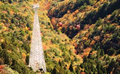 Chasing the Crimson Tides: The Ultimate Guide to Autumn on Mt. Gozaisho and the Historic Gozaisho Ropeway