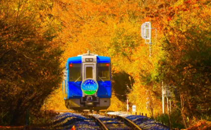 Chasing the Iconic Summit: An Immersive Autumn Rail-and-Trail Expedition to Mount Fuji from Hokuto City