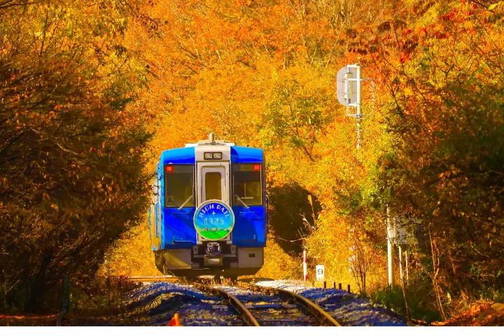 Chasing the Iconic Summit: An Immersive Autumn Rail-and-Trail Expedition to Mount Fuji from Hokuto City