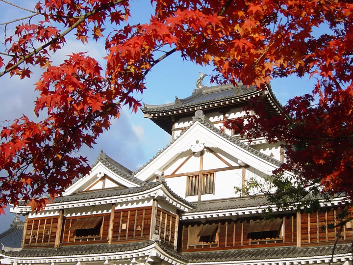 Discovering the Autumn Splendor of Fukuchiyama: A Comprehensive Guide to Kyoto’s Historic Castle Town and Scenic Foliage