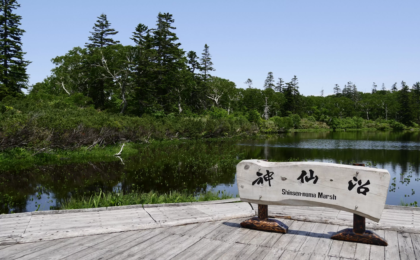 Exploring the Untamed Serenity of Niseko: An Authoritative Guide to the Region’s Premier Beginner-Friendly Hiking Trails