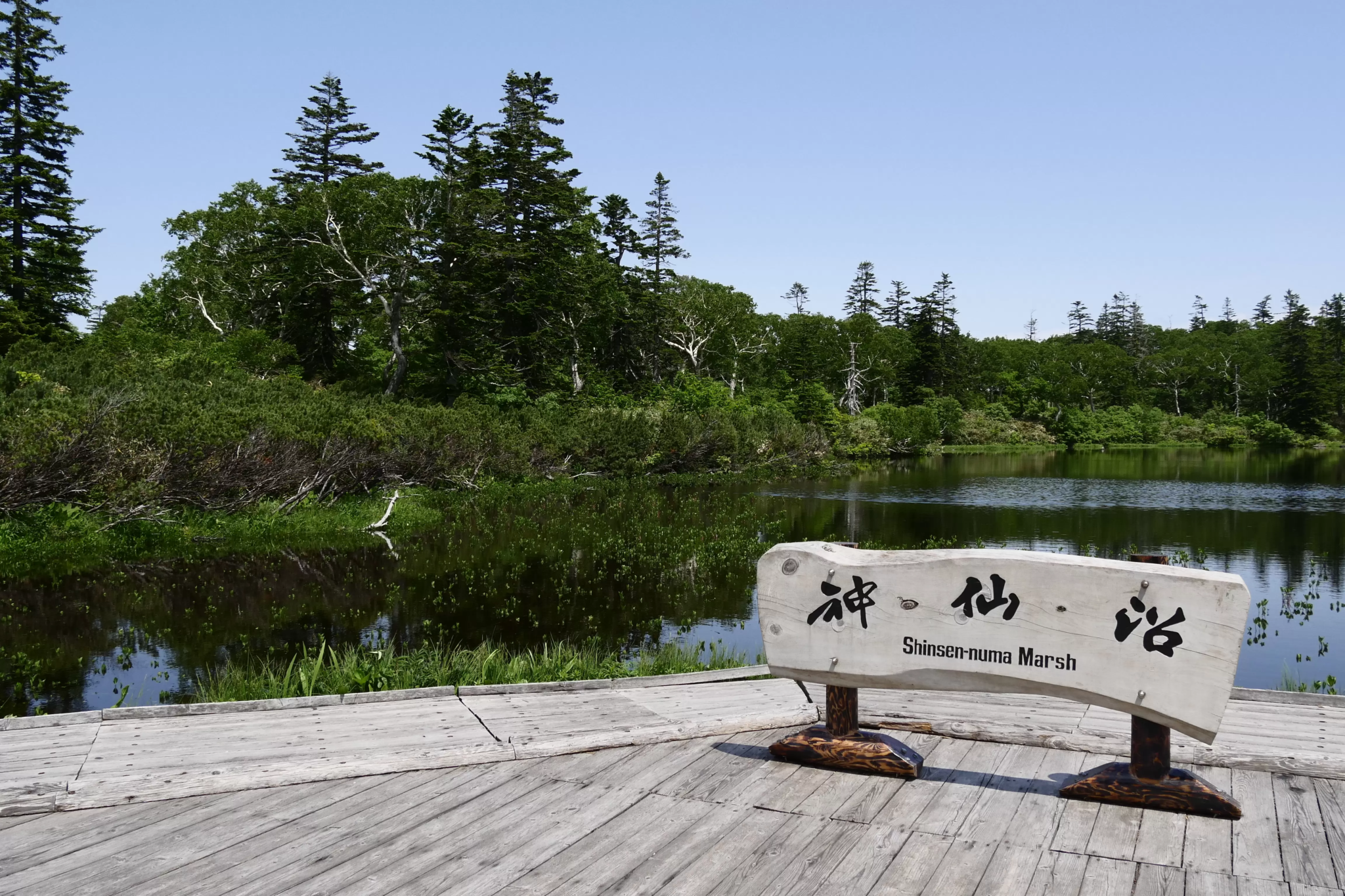 Exploring the Untamed Serenity of Niseko: An Authoritative Guide to the Region’s Premier Beginner-Friendly Hiking Trails