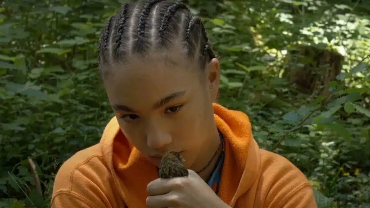 Finding Sanctuary in the Wilderness: A Critical Examination of Sarah Leonor’s D’ici là at the Locarno Film Festival