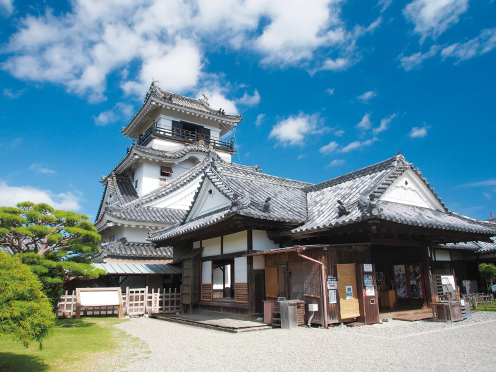 Navigating the Tosa Frontier: A Comprehensive 1-Night, 2-Day Expedition from Osaka to Kochi via Direct Express Bus