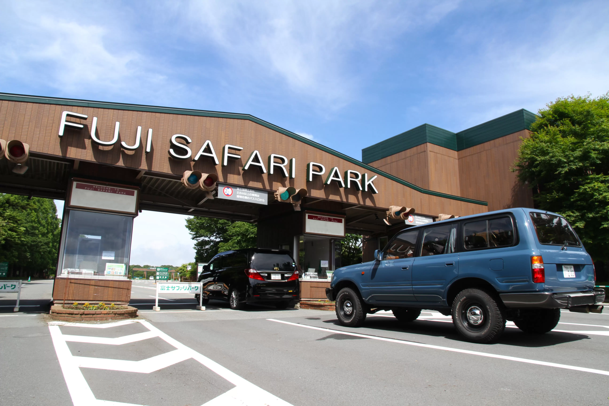 Rare Golden Takins Find New Home at Fuji Safari Park, Bolstering Japan’s Species Conservation Efforts
