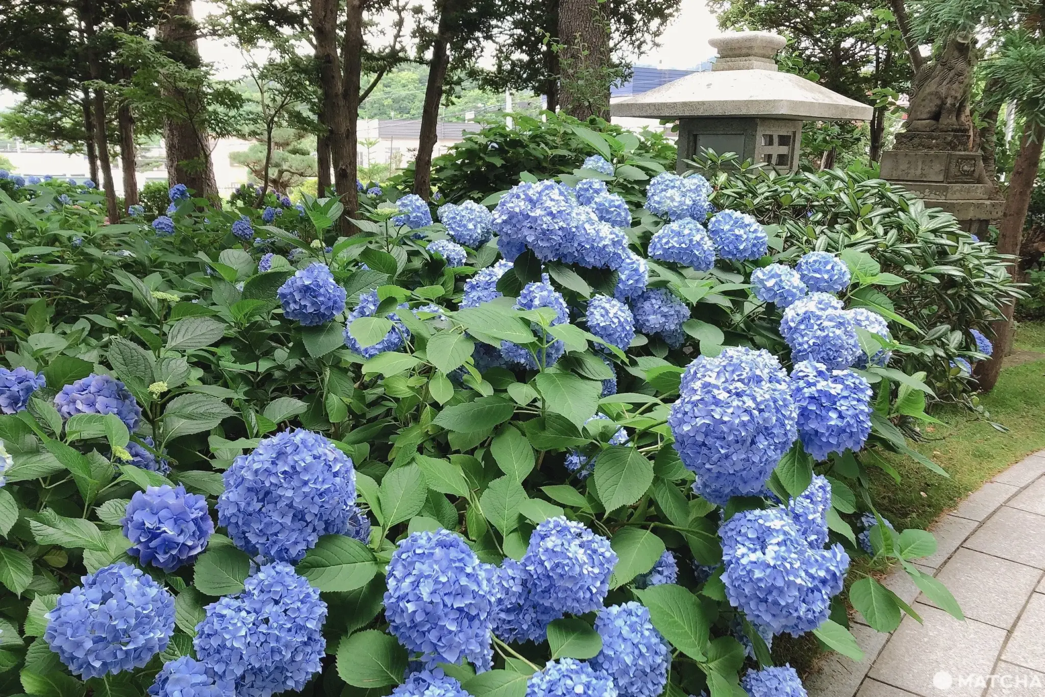 Sacred Frontiers: Exploring Hokkaido’s 10 Most Unique Shrines and Spiritual Landmarks