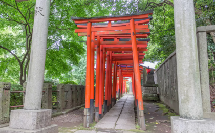 September in Tokyo: Where Centuries-Old Traditions Meet Modern Urban Pulse
