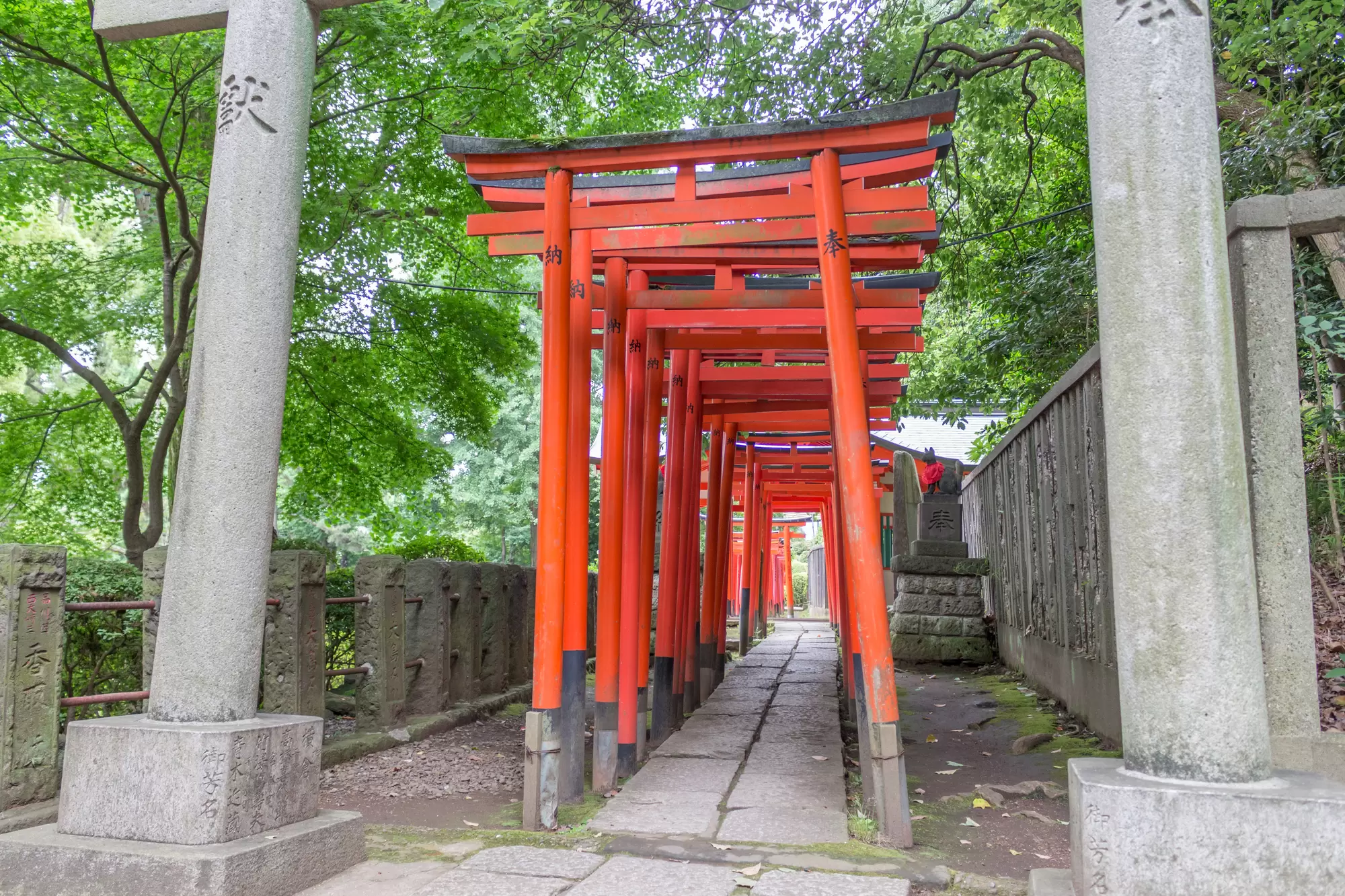September in Tokyo: Where Centuries-Old Traditions Meet Modern Urban Pulse