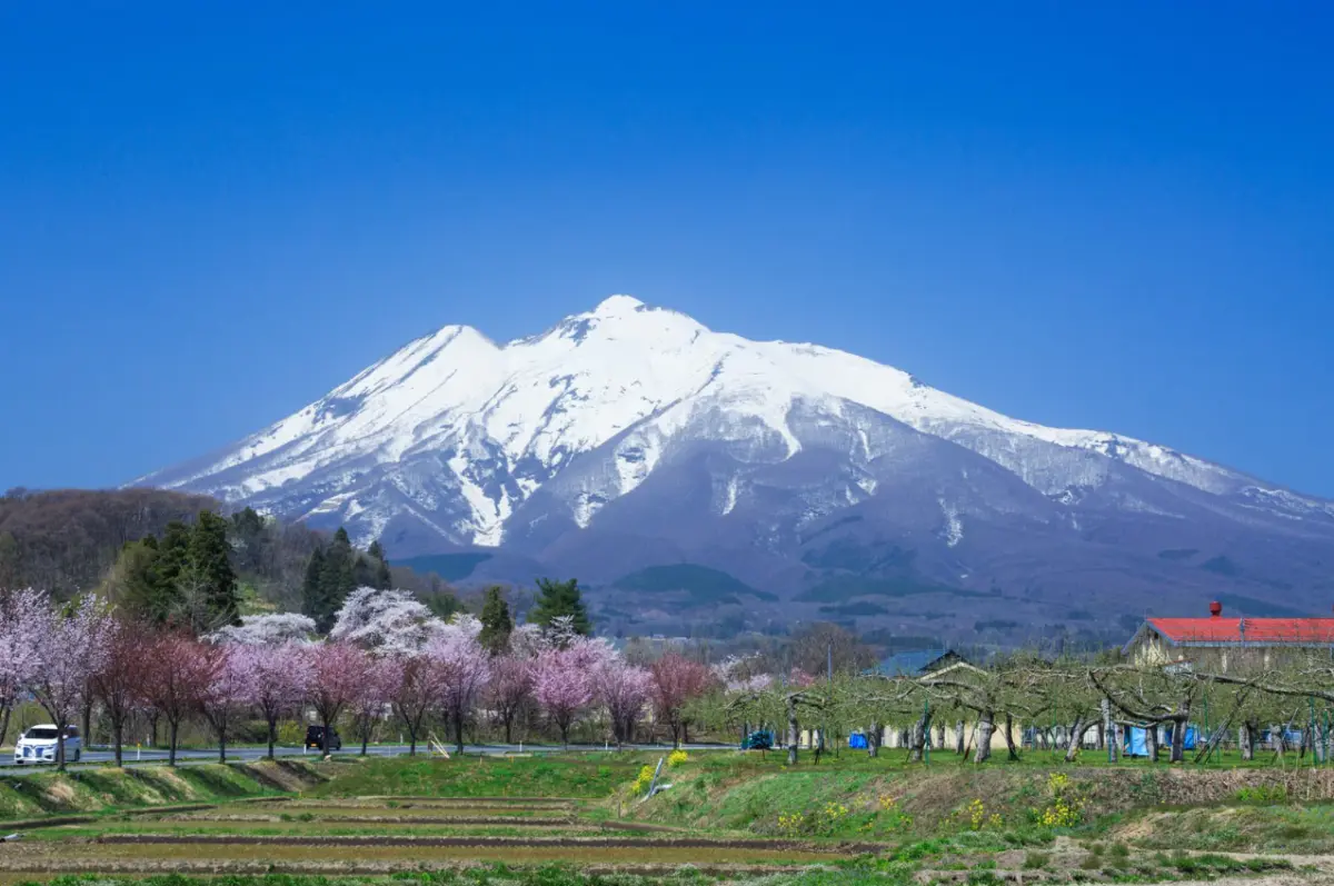 The Wilderness Retreat: How Japan’s Rising Bear Encounters Are Transforming Mountain Recreation