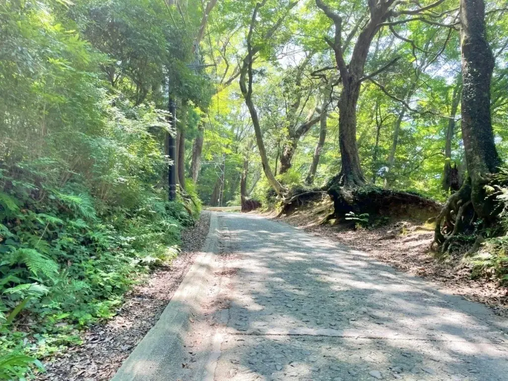 Authorities Issue Urgent Safety Warning as Peak Hiking Season Collides with Bear Activity on Tokyo’s Iconic Mt. Takao
