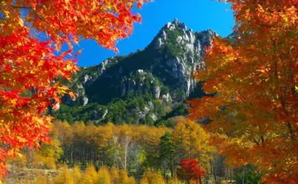 Chasing Autumn Gold: Your Definitive Guide to Hokuto City’s Seven Hidden Foliage Masterpieces