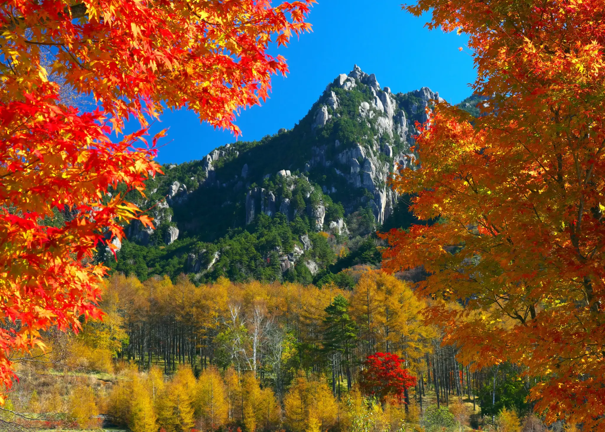 Chasing Autumn Gold: Your Definitive Guide to Hokuto City’s Seven Hidden Foliage Masterpieces