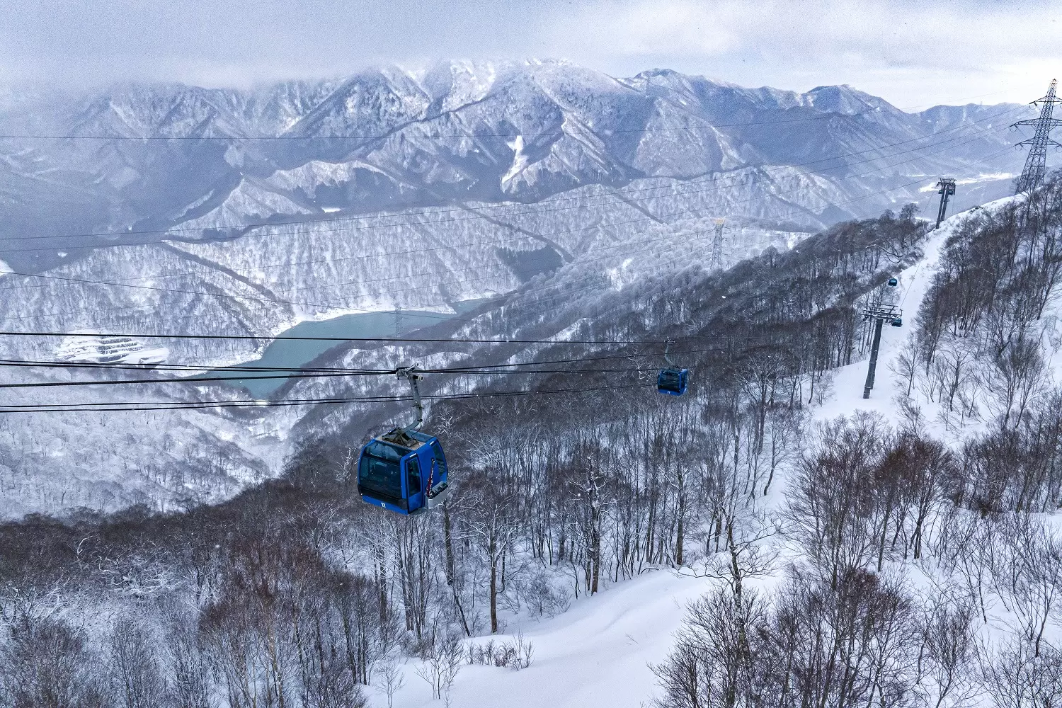 Chasing the Ultimate "Japow": A Comprehensive Guide to Japan’s Premier Ski-In/Ski-Out Destinations
