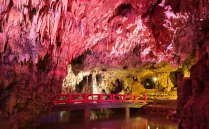 Colorful Transformation: How the "mt Project at NIIMI" is Redefining Regional Tourism Through Immersive Design