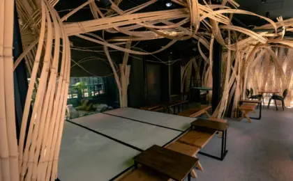 Crafting the Future of Tradition: Kyoto Station Unveils Hands-On Artisan Workshops for International Travelers