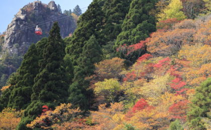 Discovering Yokkaichi: The Ultimate Gateway for Business, Leisure, and Sustainable Travel with Sanco Inn Yokkaichi Ekimae