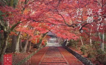 Escaping the Crowds: How an Early-Morning Access Pass to Kyoto’s Bishamondo Monzeki Temple Offers a Serene Alternative to Overtourism