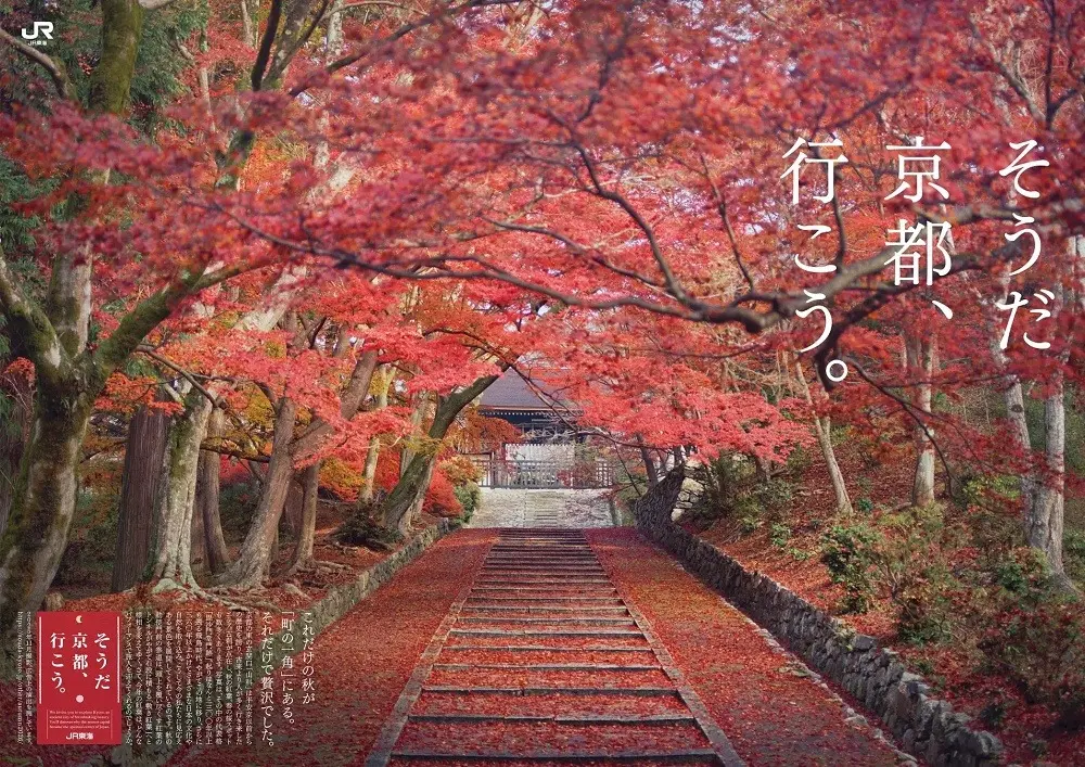 Escaping the Crowds: How an Early-Morning Access Pass to Kyoto’s Bishamondo Monzeki Temple Offers a Serene Alternative to Overtourism