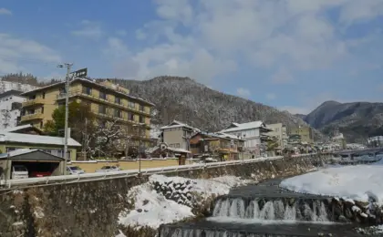 Executive Overview: The Phenomenon of Nagano’s Jigokudani Monkey Park