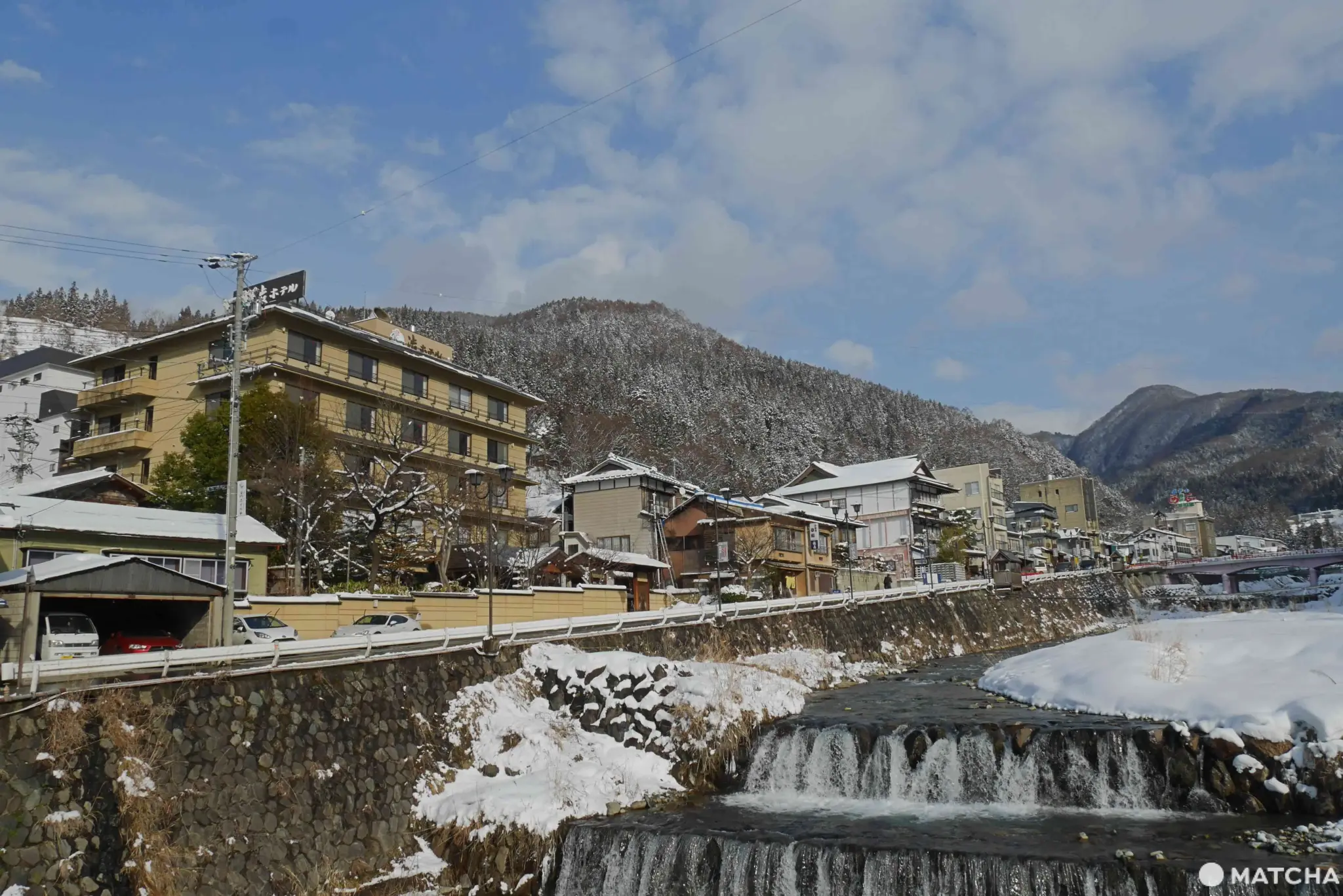 Executive Overview: The Phenomenon of Nagano’s Jigokudani Monkey Park