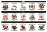 Executive Overview: Wearable Regional Pride and Post-Disaster Tourism Revitalization in Fukushima