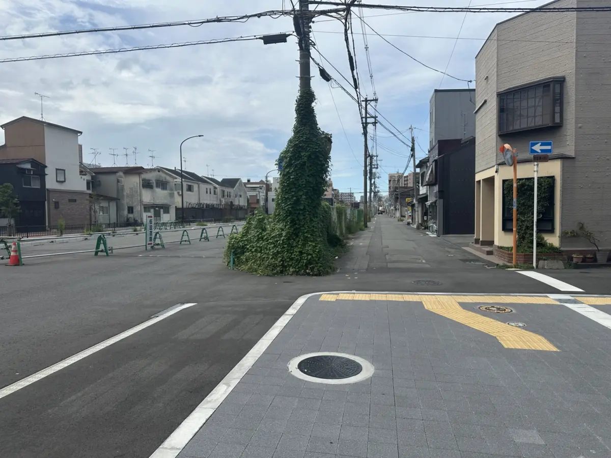 Gridlock and Umbrellas: How Japan’s New Bicycle Laws Sparked an Unintended Urban Crisis