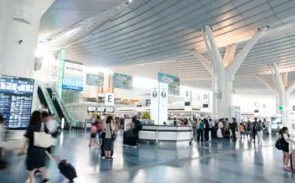 High-Stakes Smuggling Bust at Haneda Airport Highlights Japan’s Zero-Tolerance Drug Policy