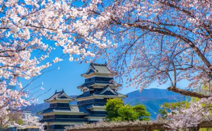 Nagano Cherry Blossoms: 8 Castles, Parks, and Hidden Gems