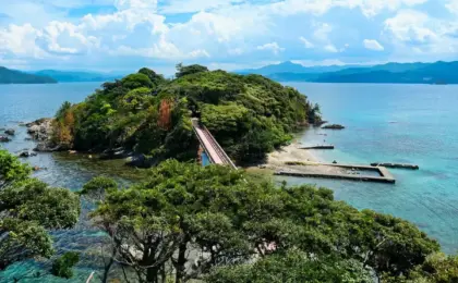 Rediscovering Nature’s Sanctuary: An Investigative Journey Through Fukui’s Tsuruga and Wakasa Coastline