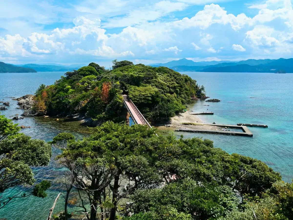 Rediscovering Nature’s Sanctuary: An Investigative Journey Through Fukui’s Tsuruga and Wakasa Coastline