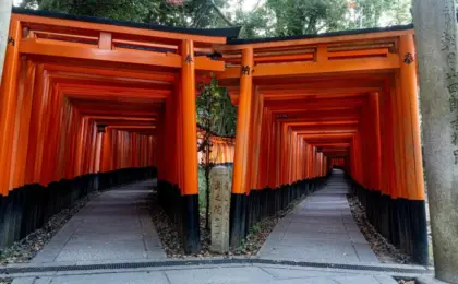 Sacred Grounds, Viral Clout: Fushimi Inari Taisha Issues Stern Warning Following Social Media Dance Trend