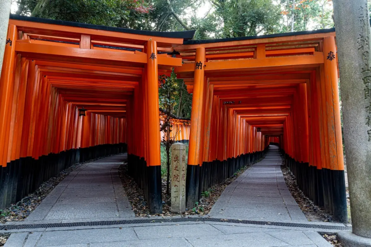 Sacred Grounds, Viral Clout: Fushimi Inari Taisha Issues Stern Warning Following Social Media Dance Trend
