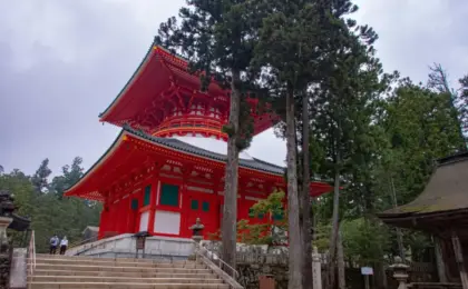Sacred Spaces and Luxury Prices: The Tax Scandal and Commercial Evolution of Mount Koya’s Shukubo