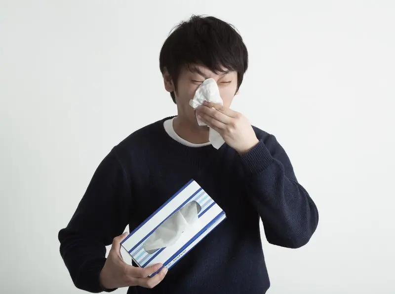 The Aerodynamics of the Honk: How a Decades-Old Japanese Study on Nose-Blowing Claimed the Ig Nobel Prize