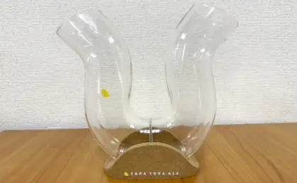 The Anatomy of Equilibrium: Inside Yo-Ho Brewing’s High-Stakes Quest to Keep Japan Hydrated One "Wobbly" Pint at a Time