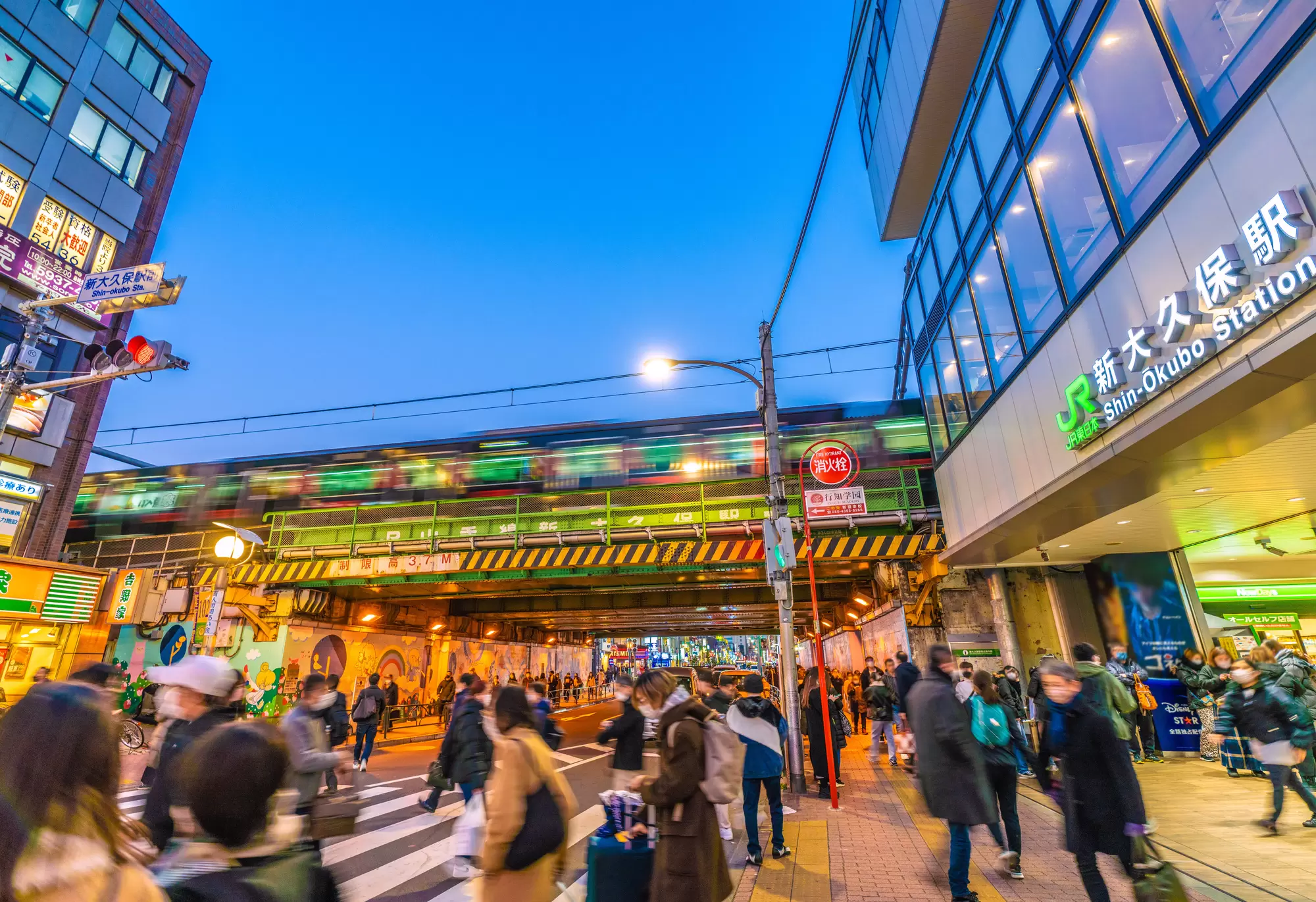 The Ultimate Shin-Okubo Culinary Expedition: Navigating Tokyo’s Koreatown Food Wave