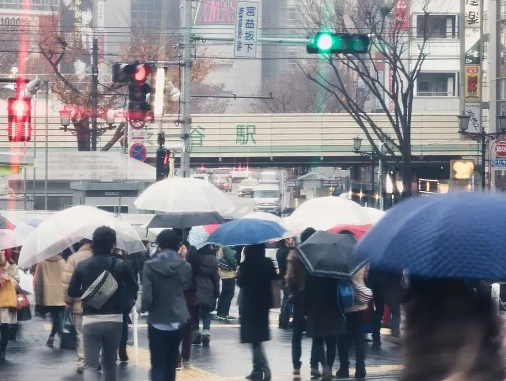 Tokyo Submerged: Japan’s Capital Shatters a 150-Year Rainfall Record with 34 Consecutive Days of Wet Weather