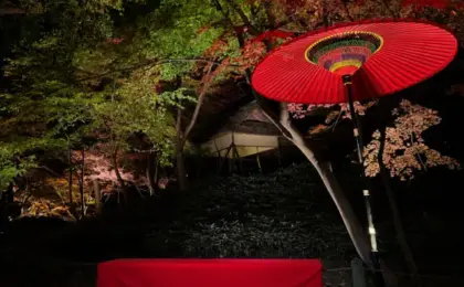 Tokyo’s Historic Rikugien Garden Announces Exclusive 11-Day Autumn Foliage Illumination and Projection Mapping Event for 2026