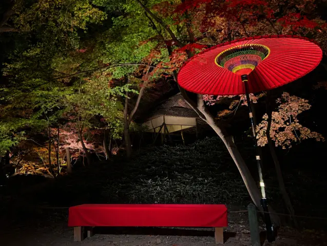 Tokyo’s Historic Rikugien Garden Announces Exclusive 11-Day Autumn Foliage Illumination and Projection Mapping Event for 2026