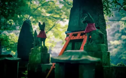 Urban Myth or Modern Reality? Rare Fox Sighting in Central Tokyo Sparks Folklore Debates and Public Health Warnings