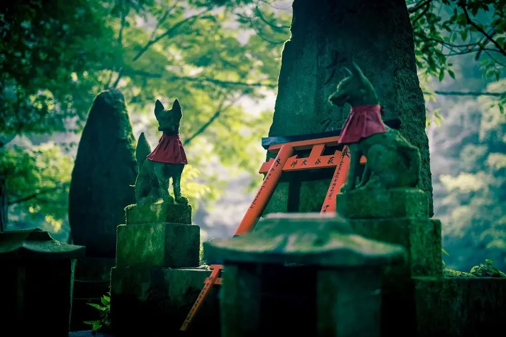 Urban Myth or Modern Reality? Rare Fox Sighting in Central Tokyo Sparks Folklore Debates and Public Health Warnings