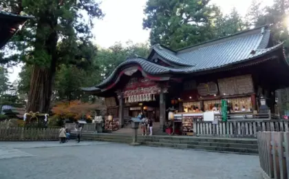 [2027] 7 Recommended Tourist Spots in the Fuji Five Lakes Area at the Foot of Mount Fuji in Winter | Skiing, Hot Springs, and Scenic Views