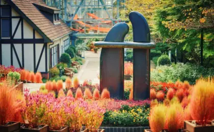 A Sea of Crimson Fire: Kobe Nunobiki Herb Gardens & Ropeway Unveils Its Breathtaking Autumn Kochia Display for Garden Fest 2026