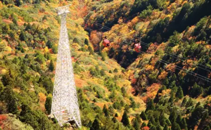 Chasing the Crimson Tide: The Ultimate Guide to Autumn Foliage, the Gozaisho Ropeway, and Mie Prefecture’s Alpine Wonderland