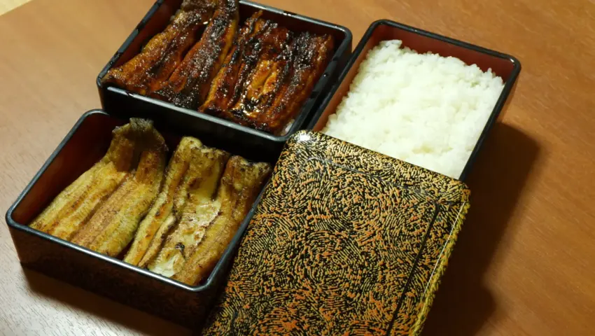 Chiba’s Culinary Renaissance: A Gastronomic Journey Through Historic Towns and Coastal Waters