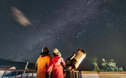 Executive Overview: The Rise of "Effortless Stargazing" on Tokyo’s Dark Sky Island