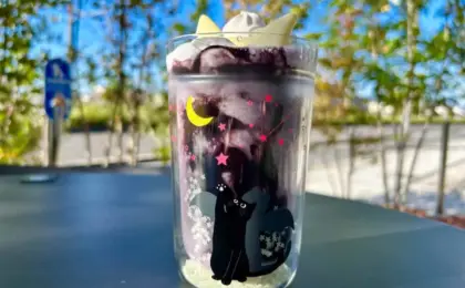 Feline Spooks and Berry Refreshment: Inside Starbucks Japan’s 2026 "Halloween Purple Cat in Mystery Forest" Phenomenon