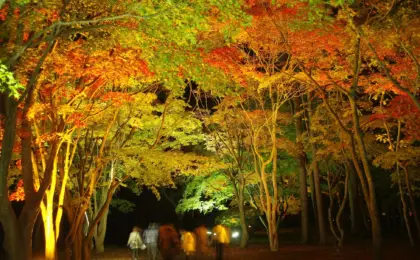 Hokkaido Autumn Magic: The Definitive 2026 Guide to October Events, Peak Foliage, and Culinary Expeditions