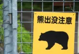 Meet Hacchan: Japan’s Autonomous Robo-Dog Designed to Tackle the Rising Threat of Rural Bear Encounters