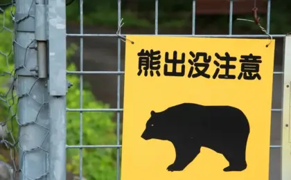 Meet Hacchan: Japan’s Autonomous Robo-Dog Designed to Tackle the Rising Threat of Rural Bear Encounters